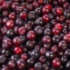 Huckleberry Popcorn
